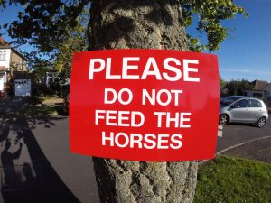 DONT FEED THE HORSES SIGN