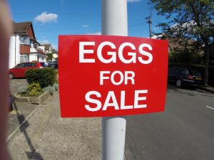 EGGS FOR SALE, Sign