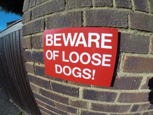 BEWARE OF LOOSE DOGS, Sign